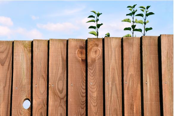 Wolmanit CX-treated timber fence